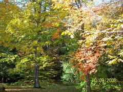 100_0922