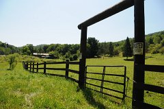 DSC_1887